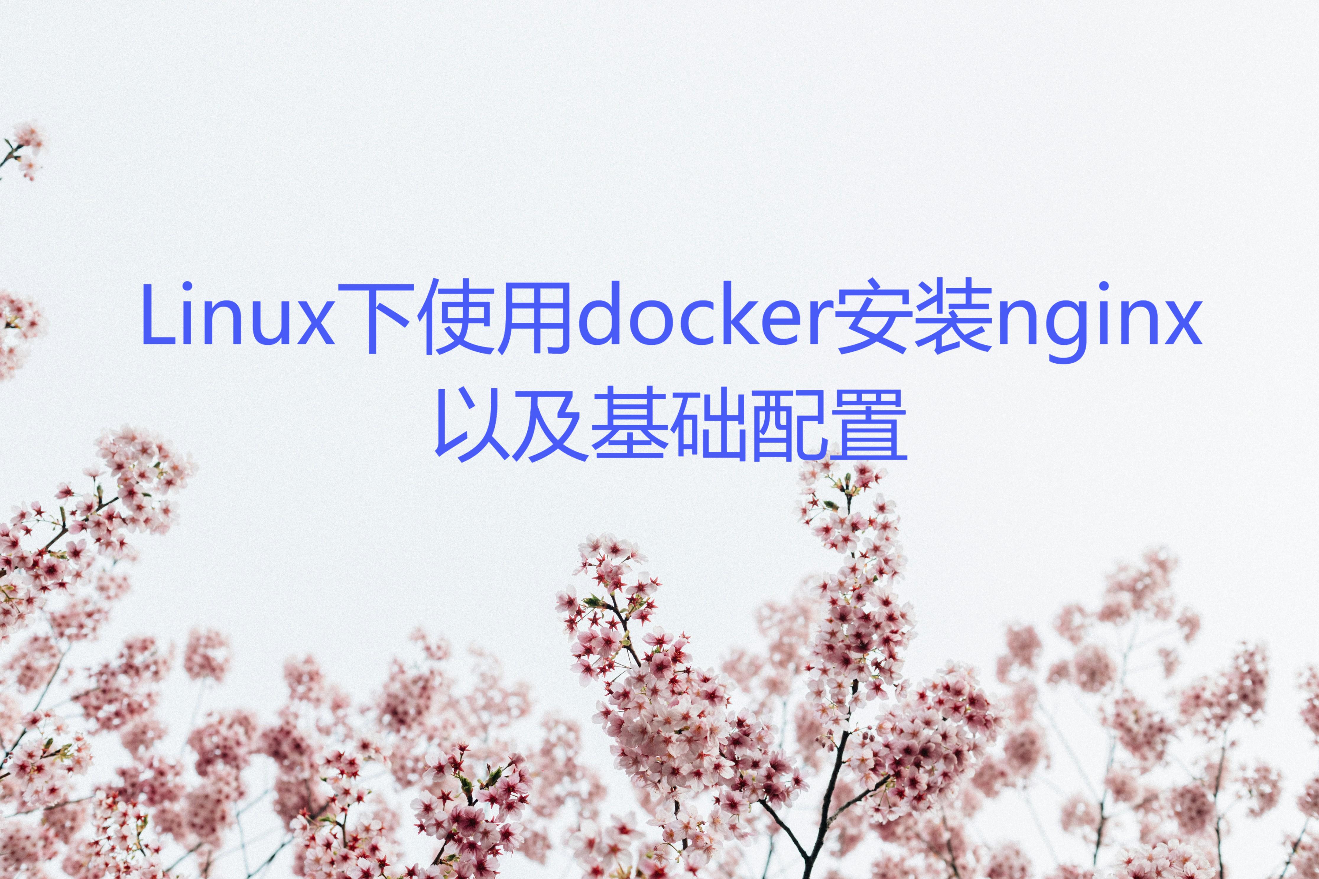 Linux下使用docker安装nginx以及基础配置